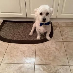 Meet your Posher, Diane